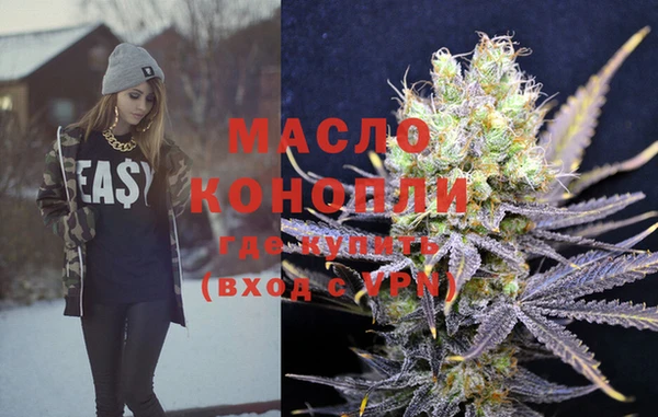 мдпв Бородино