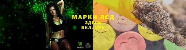 мдпв Бородино