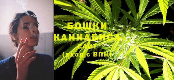 мдпв Бородино
